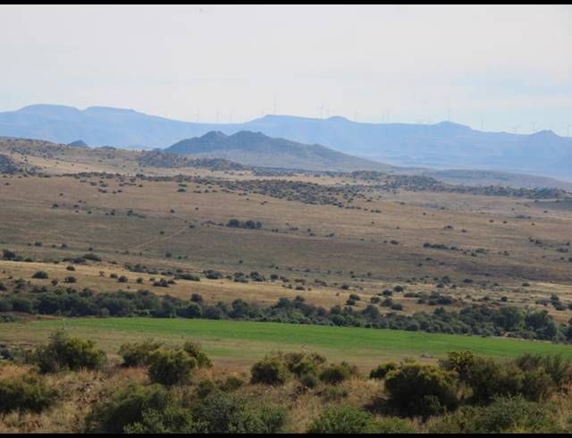 1,848HA FARM FOR SALE IN MIDDELBURG RURAL